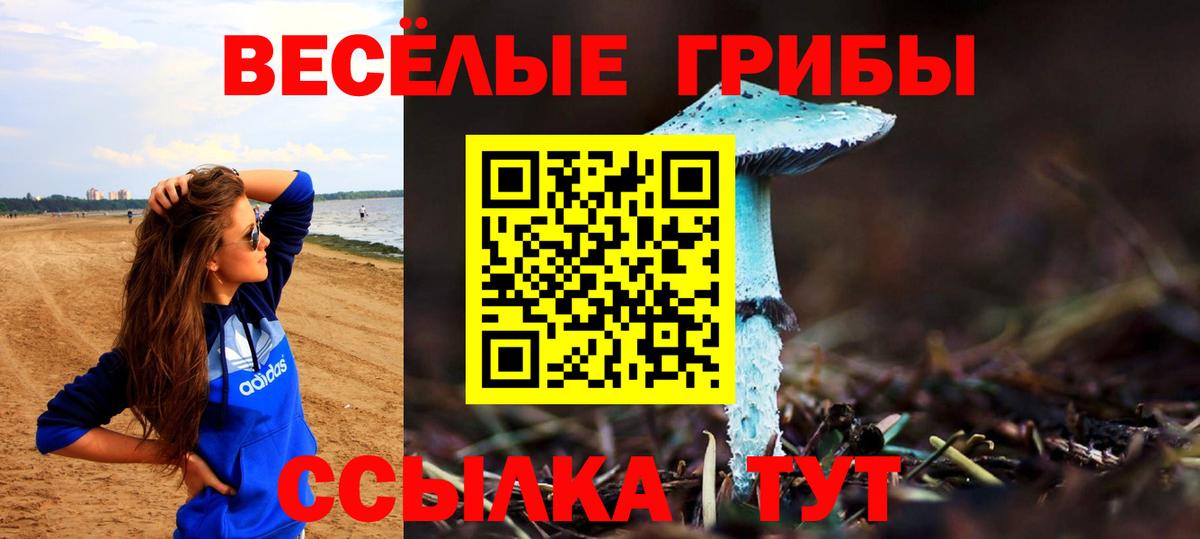 Великий Устюг  Псилоцибиновые грибы Psilocybine cubensis  Вход с VPN  Псилоцибиновые грибы Psilocybe 